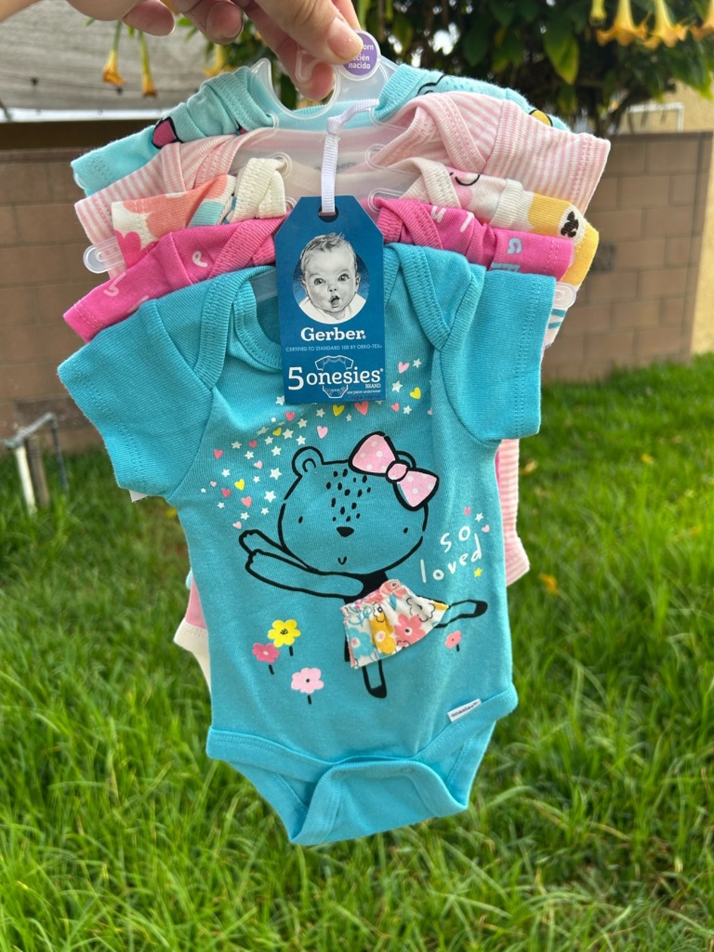 Gerber Turquoise & Pink 5-Pack Baby Onesies - 'So Loved' Bear Print